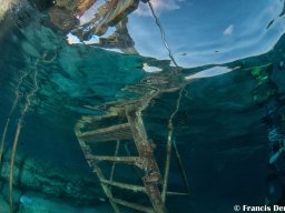 Bonaire