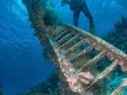 Bonaire